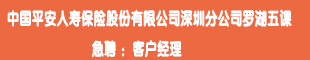 中國(guó)平安人壽保險(xiǎn)股份有限公司深圳分公司羅湖五課